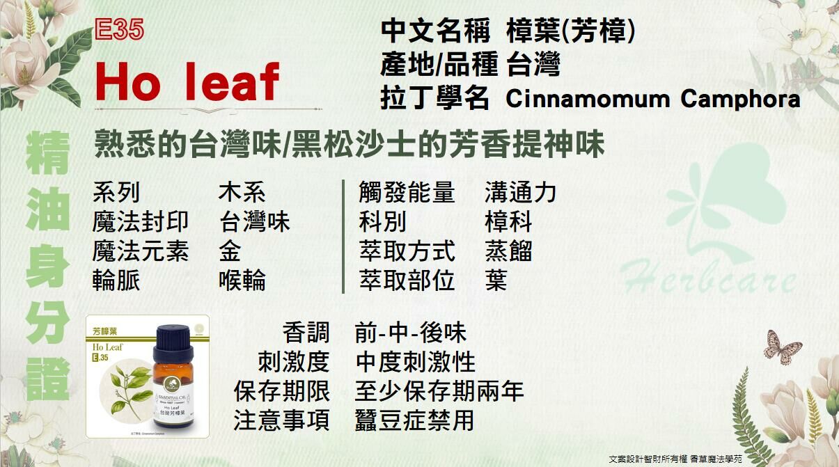 台灣野生芳樟葉純精油