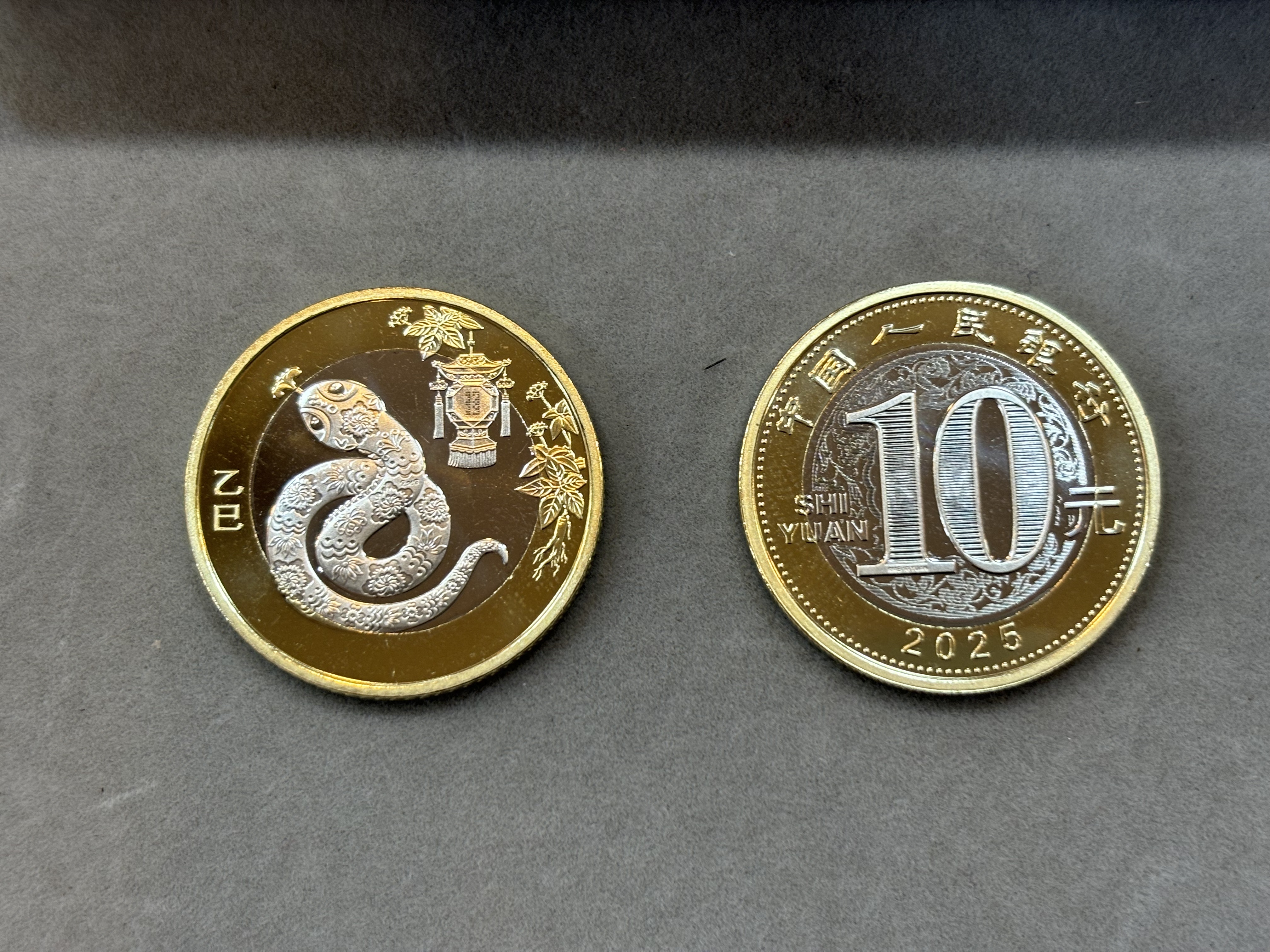 2025年蛇年賀歲普通紀念幣