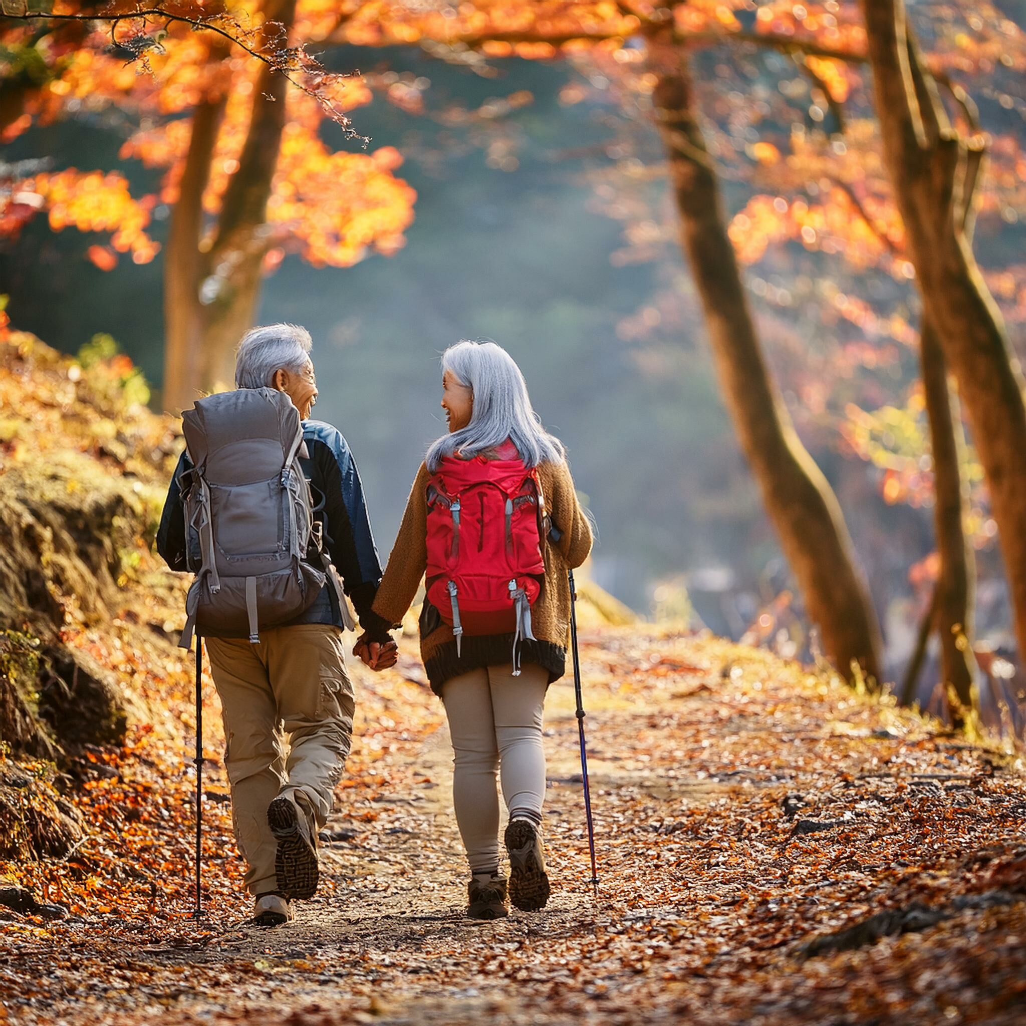 藍莓助攻克菲爾益生菌 減發炎反應 改善周邊血管