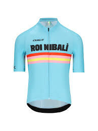 Q36.5 鯊魚車衣 Jersey Shortsleeve Gregarius Pro Roi Nibali Sale price