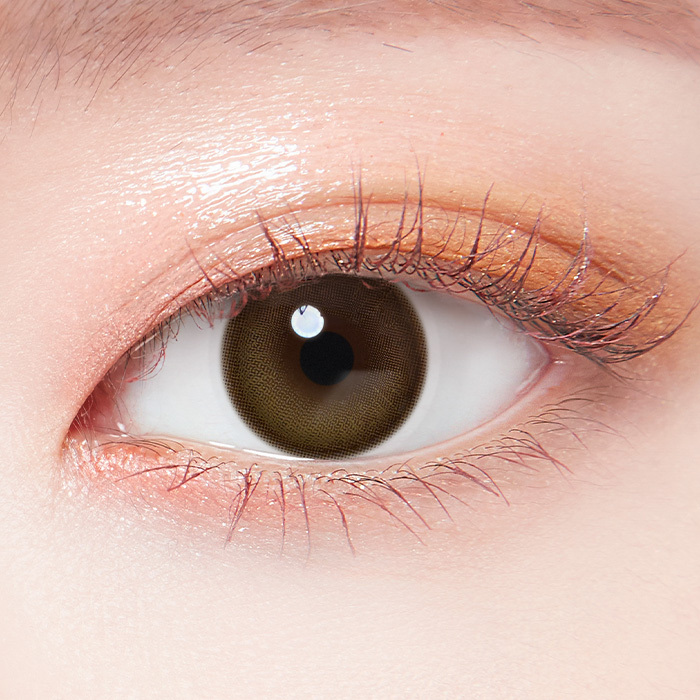 LensTown 247BB 1 day(Honey Brown)(10片)