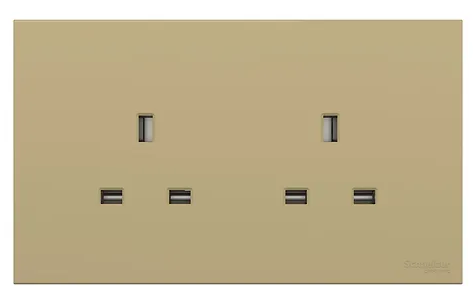 施耐德 AvatarOn C 13A 兩位連保護門插座