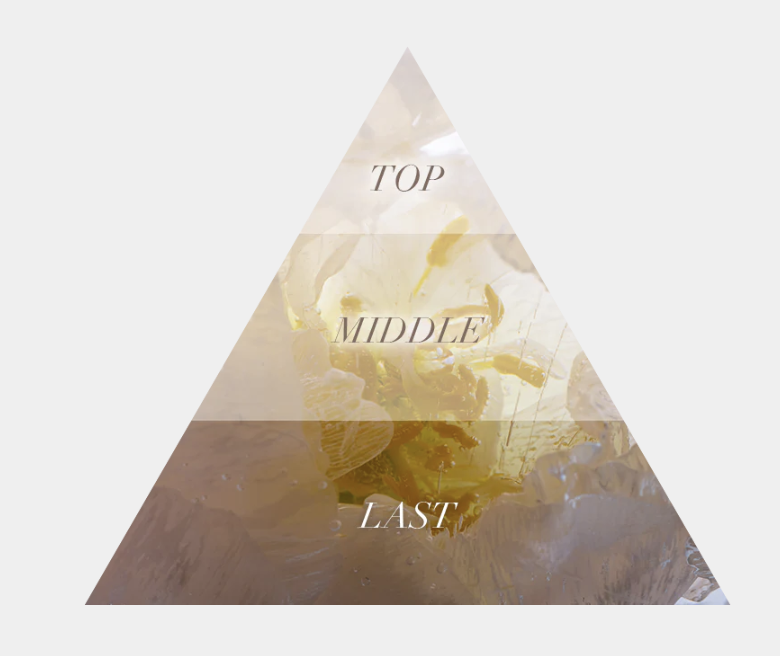 日本小眾香水Aiam EAU DE PARFUM -𝐂𝐇𝐀𝐏𝐓𝐄𝐑 𝟑𝟐