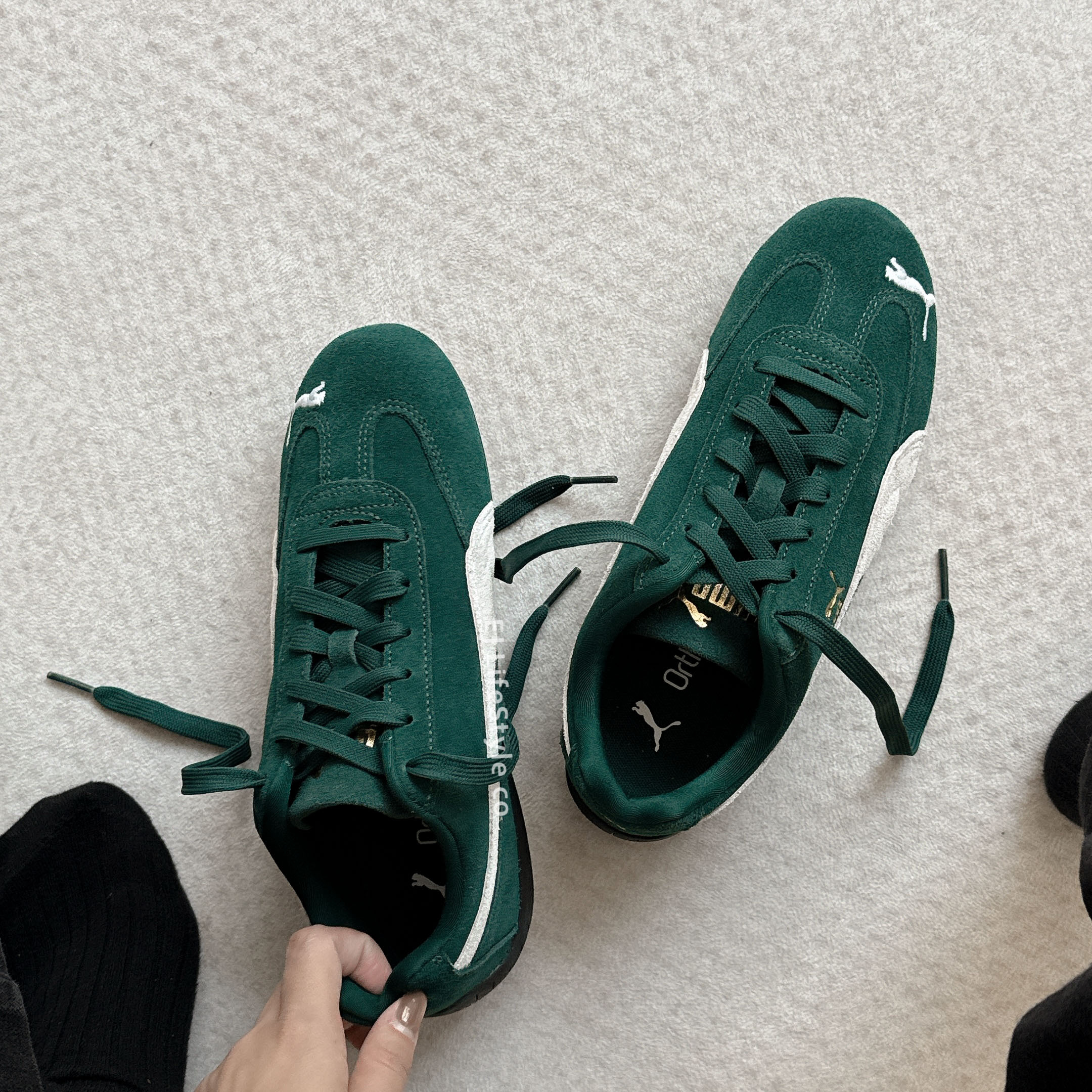 PUMA SPEEDCAT OG 森林綠 米灰 黑底 金標 復古 賽車鞋 Rosé 代言同款 朴彩英 男女鞋 398846-12 / 預購