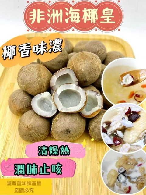 150克非洲海椰皇(約25粒) -2500036