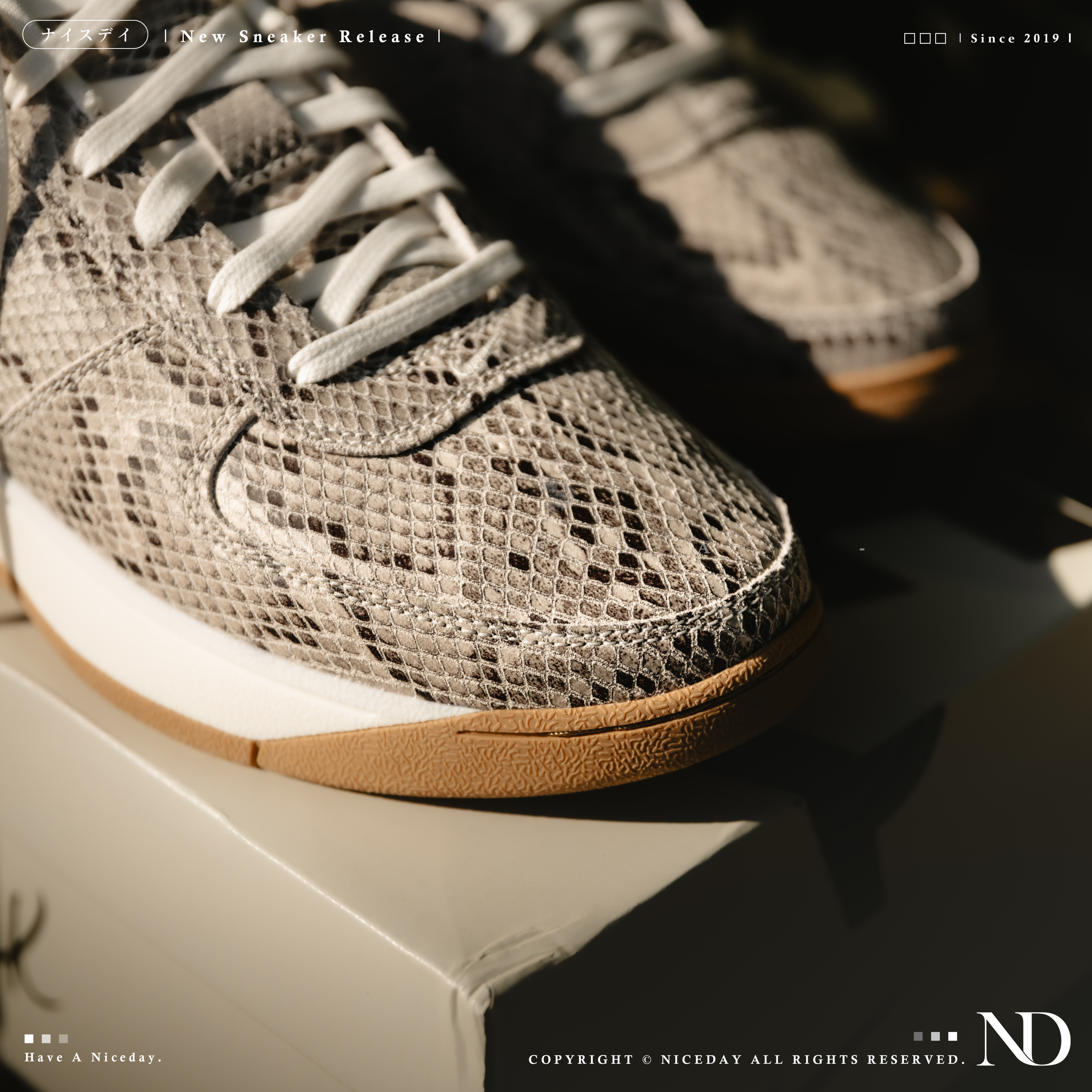 NICEDAY 現貨 Nike Book 1 EP 蛇紋鱗片 籃球鞋 實戰 男款 HJ5353-100