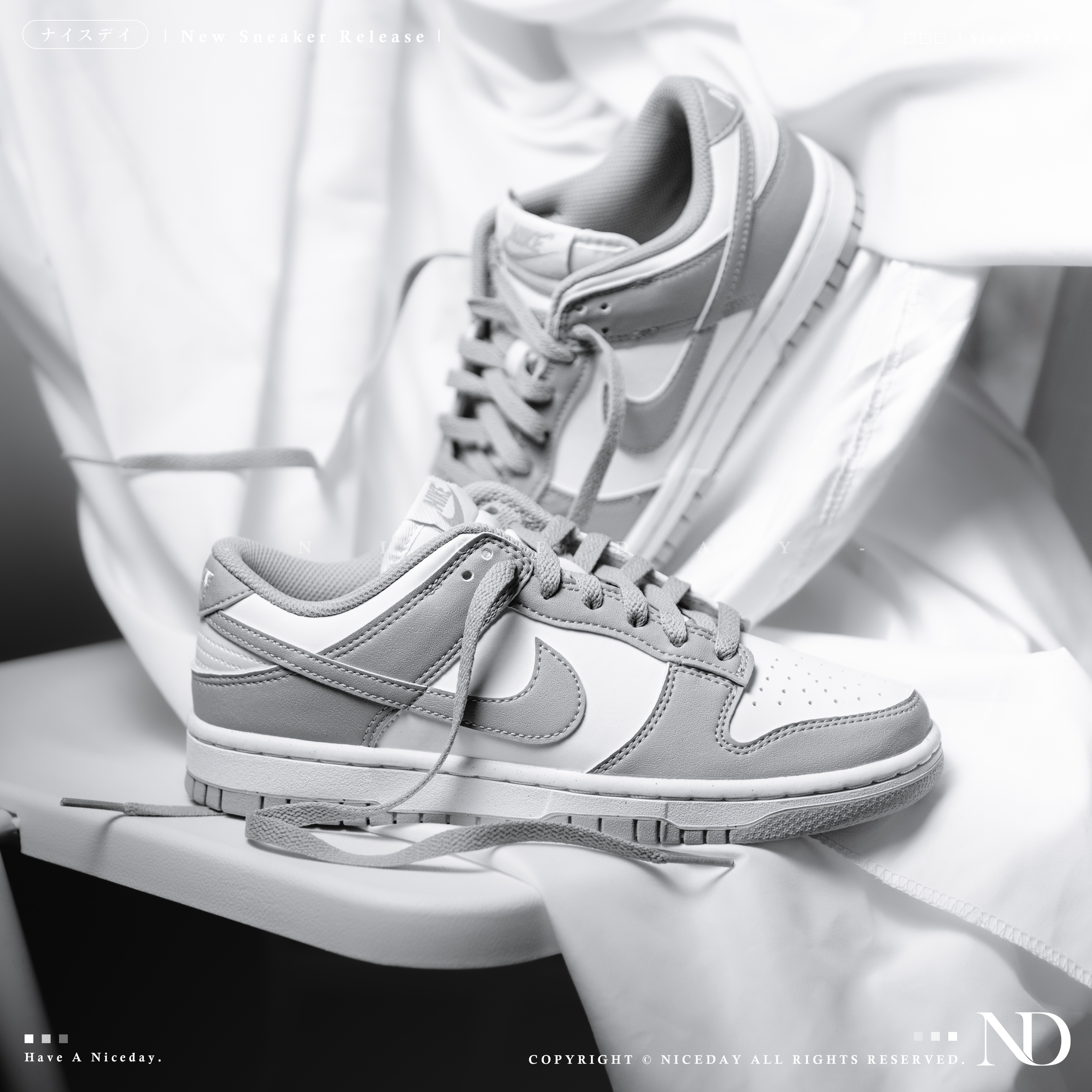 NICEDAY 現貨 Nike Dunk Low 灰白 灰色 中性灰 女款 DD1873-113