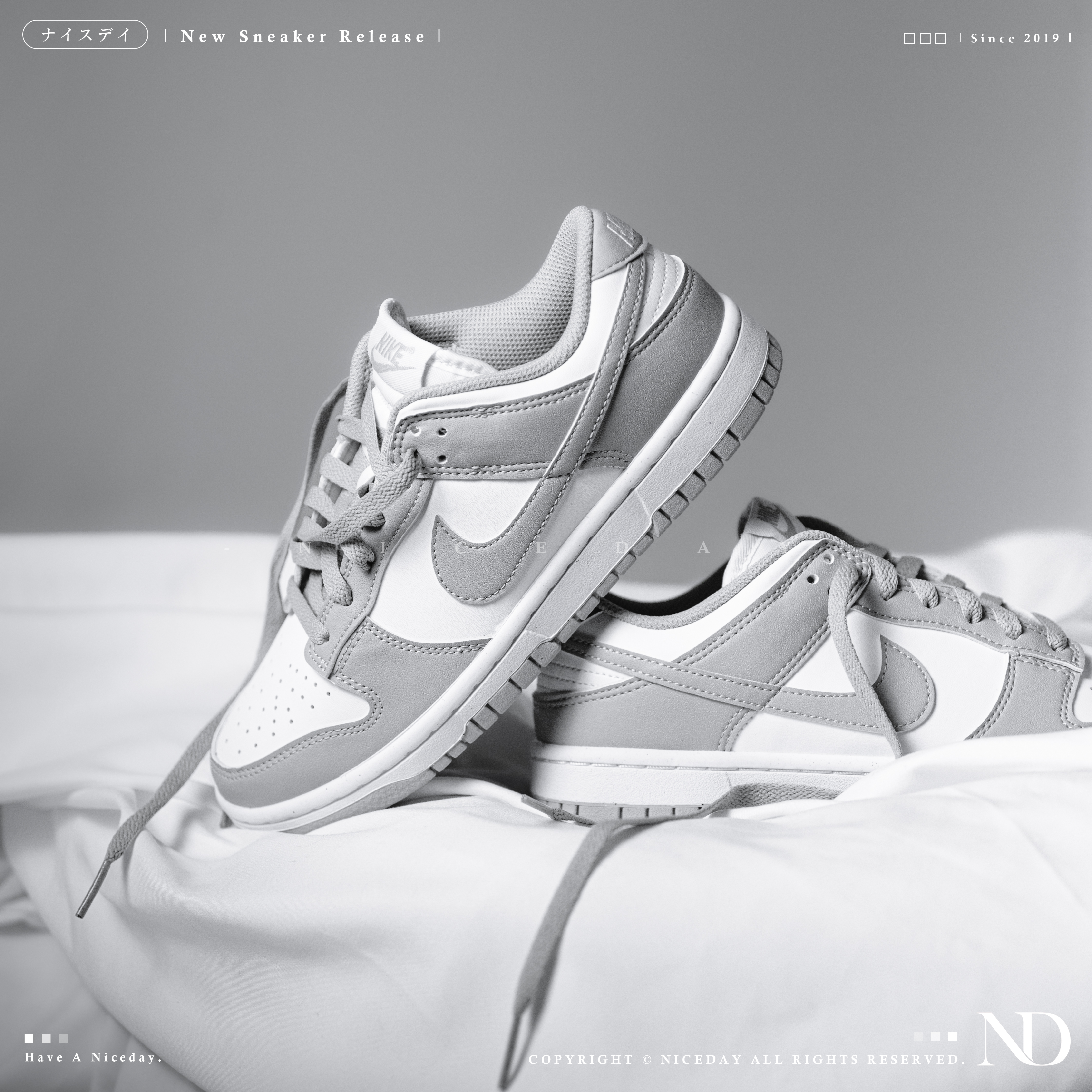 NICEDAY 現貨 Nike Dunk Low 灰白 灰色 中性灰 女款 DD1873-113