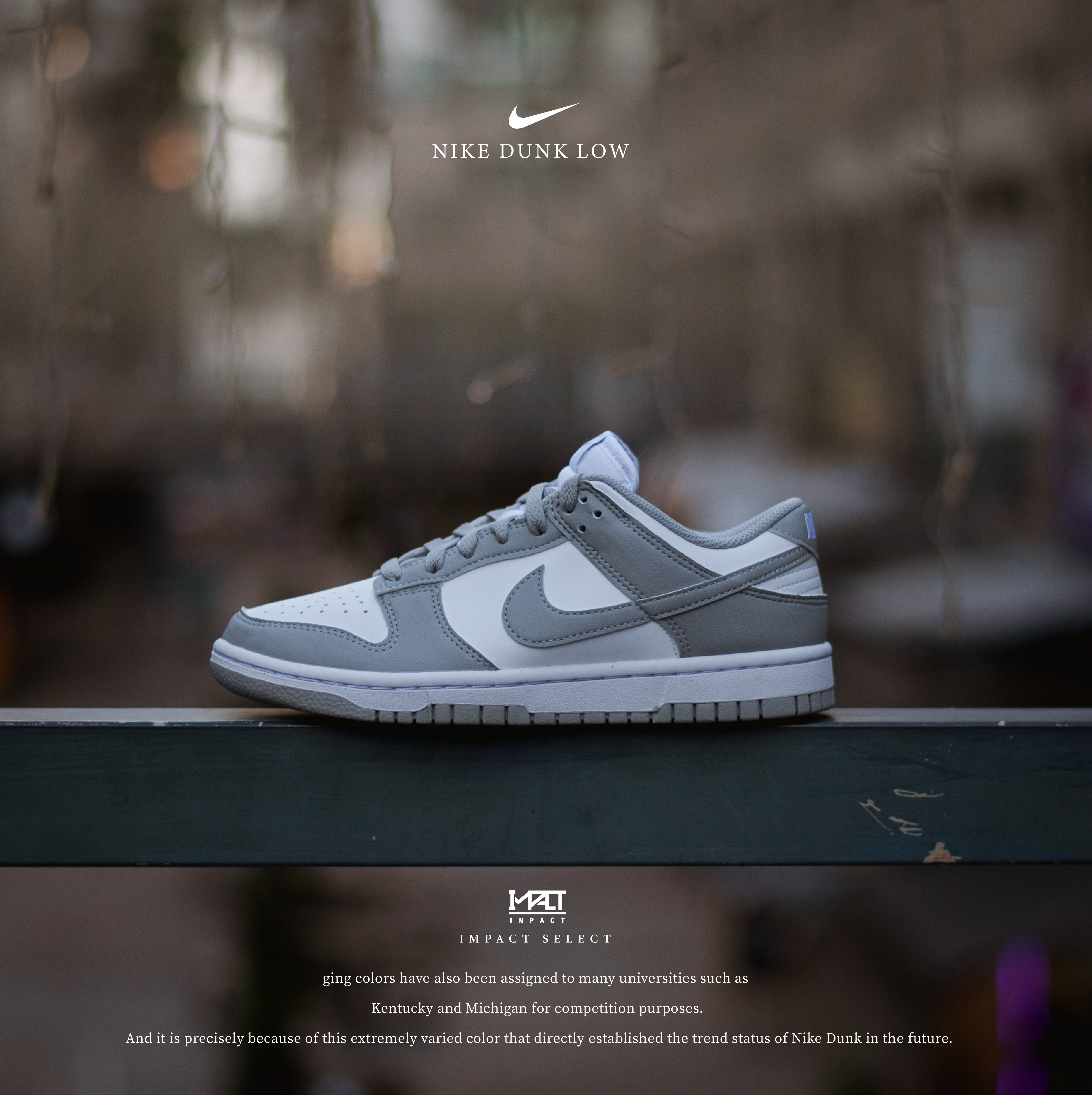 Nike Dunk Low Next Nature 灰白 女鞋 百搭 環保材質 DD1873-113