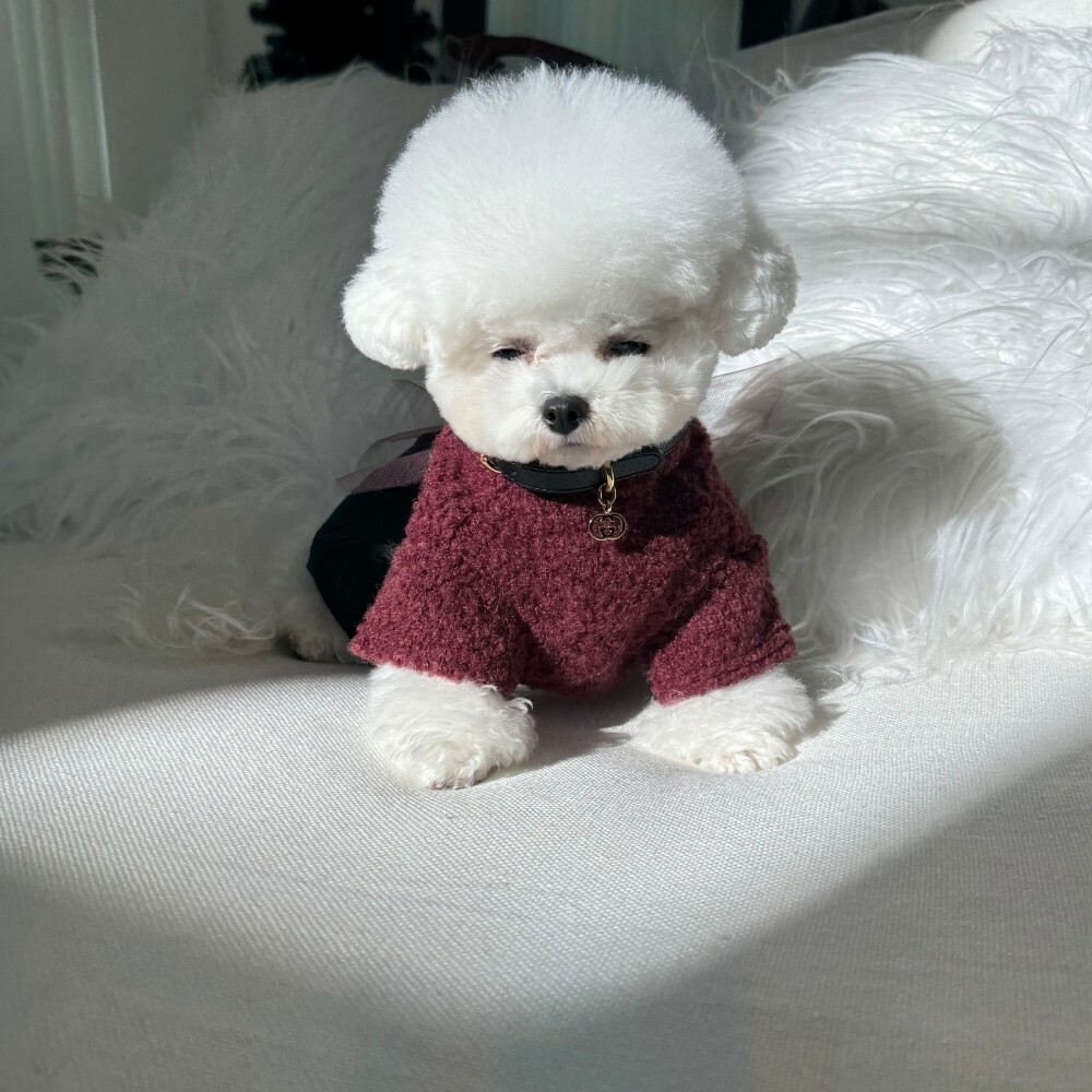 COZY-N 多層次毛呢針織上衣