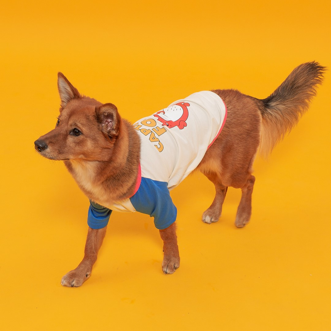 andblank 狐狸撞色TEE