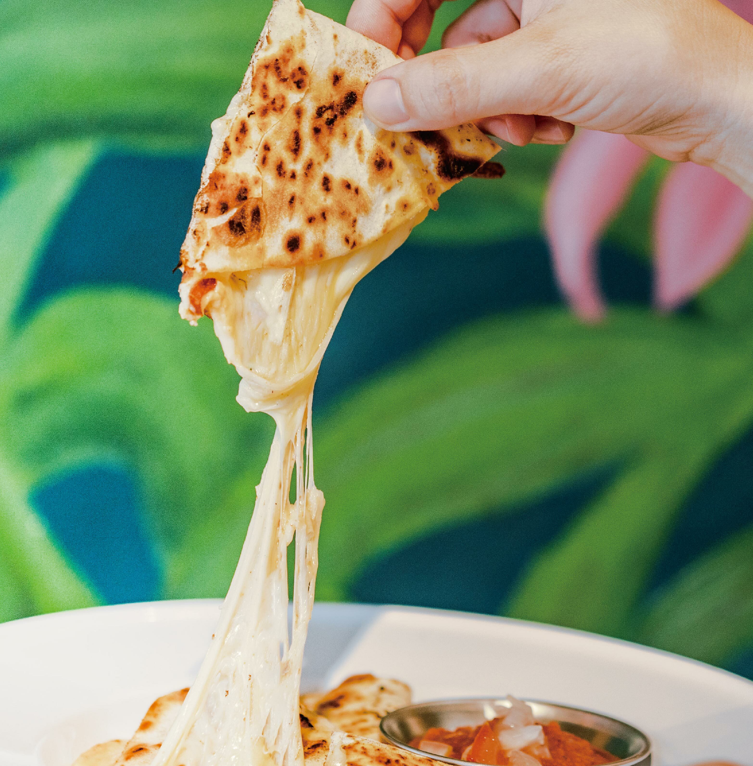 塔可利亞-起司煎餅(蛋奶素)，一片裝