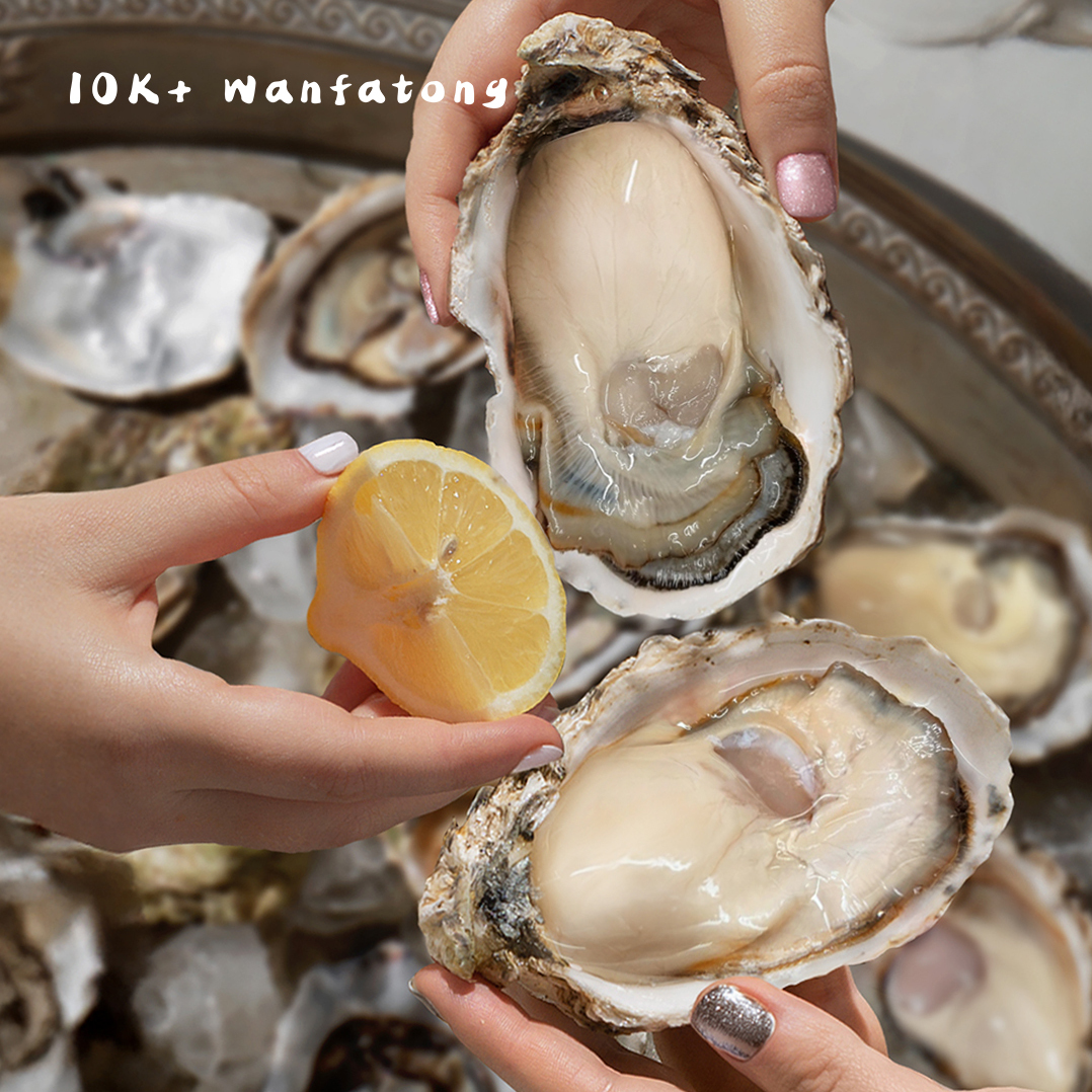 3L日本帶殼生食級生蠔