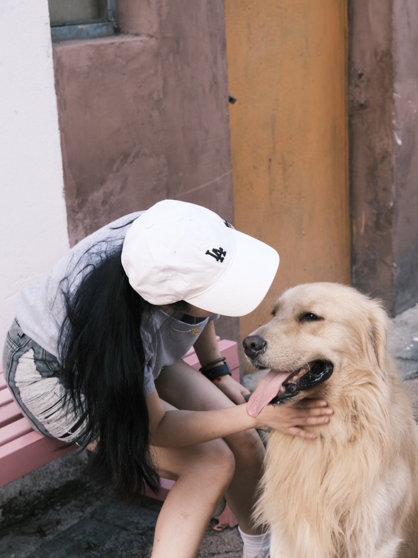 MLB Rookie Slider Cap NY / LA Yankees 棒球帽