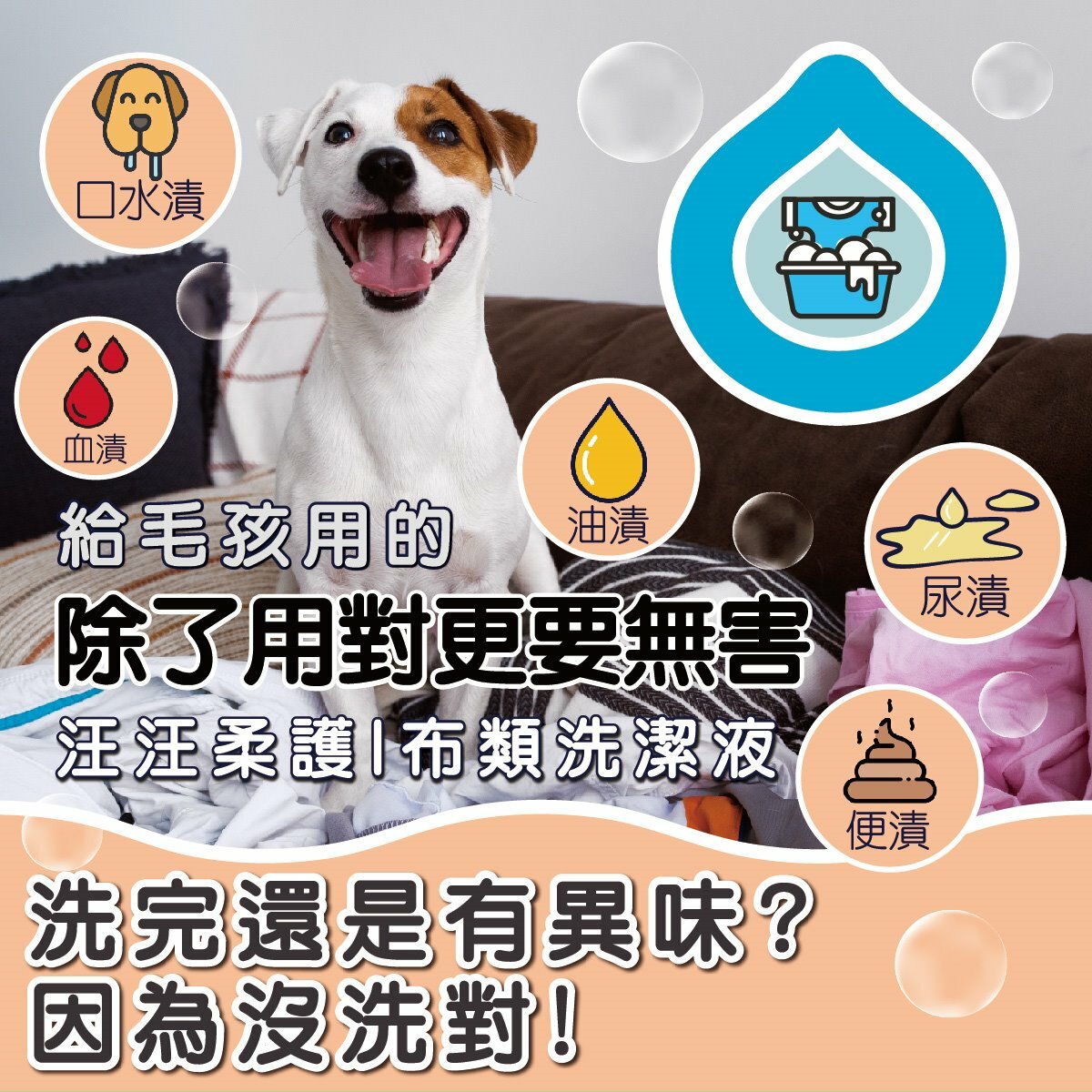 臭味滾｜狗狗專用清潔劑