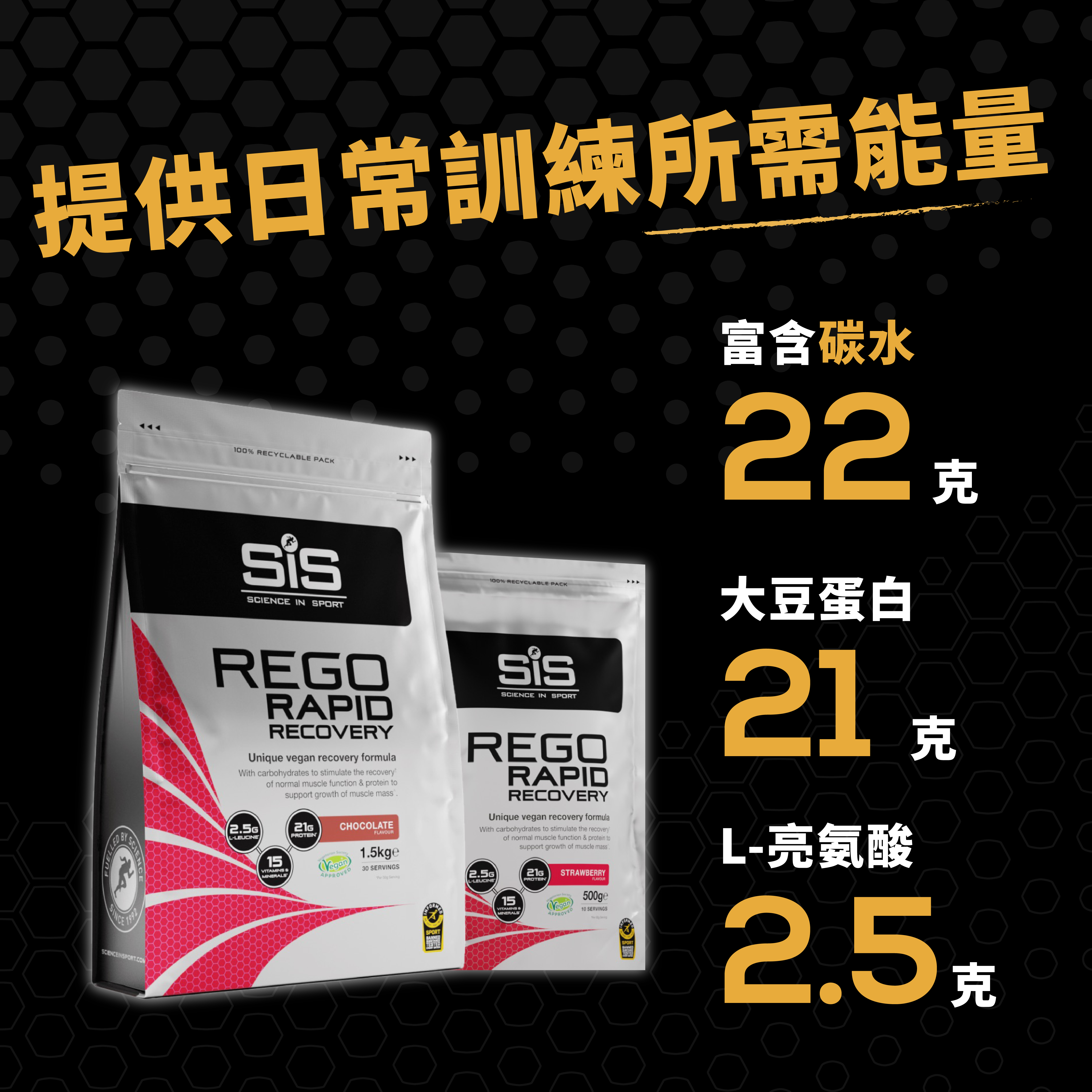 REGO RAPID RECOVERY 快速恢復蛋白粉 - 單包 - 500g