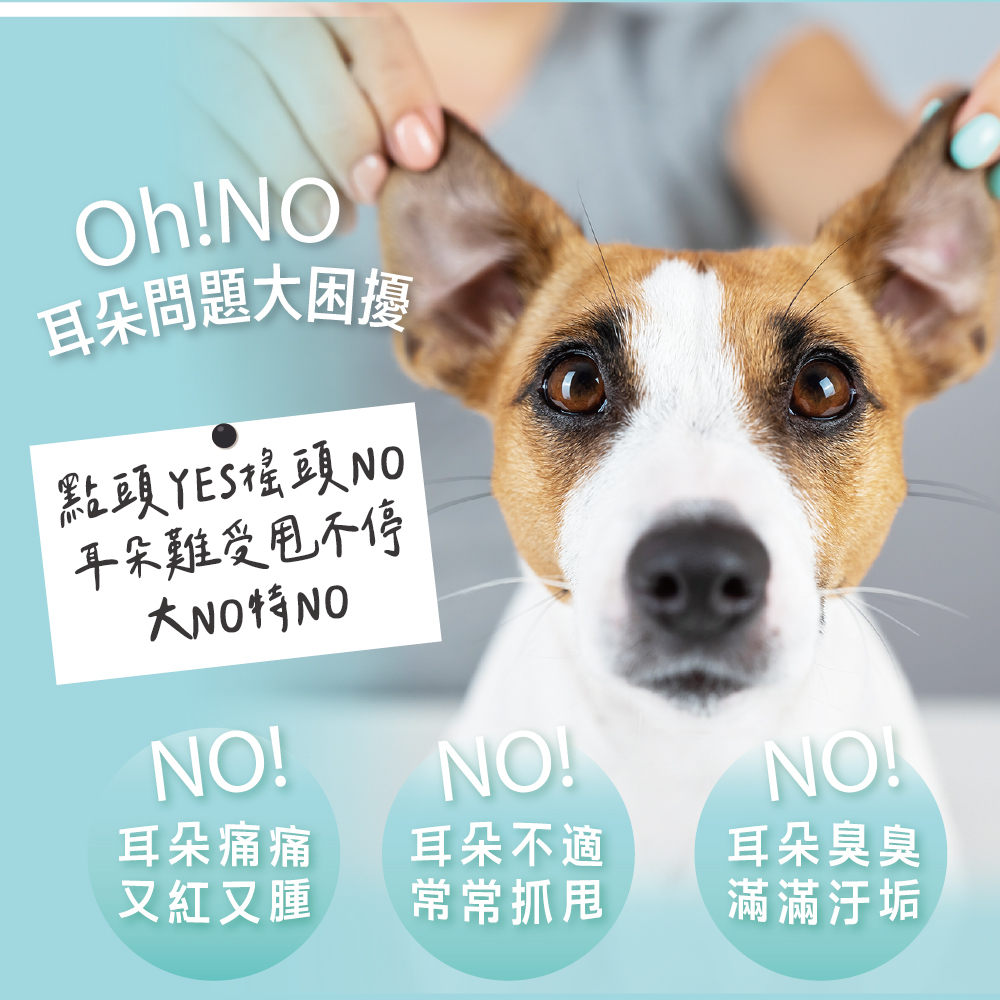 臭味滾｜無香低敏日常潔耳液200ml (犬貓通用)