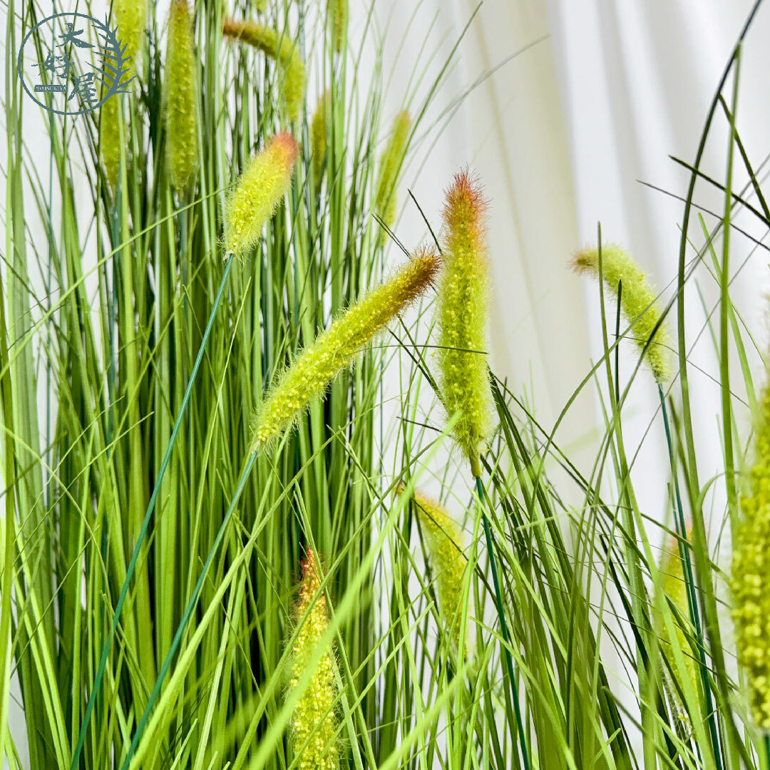 仿真蘆葦類盆栽 (小狗尾草)