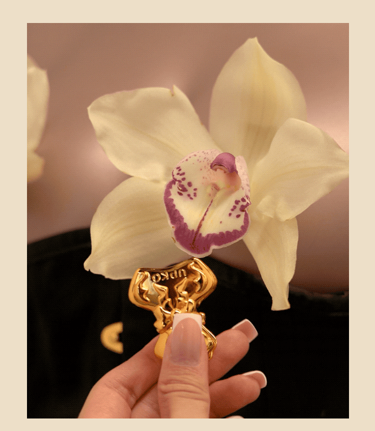 UPKO,義大利 UPKO,UPKO 蝴蝶結貝殼乳夾,乳夾,調教時尚,調教,調教扮演,BDSM,SM,親密關係,格雷,角色扮演,捆綁,禮物,繩縛,束縛,綁帶,口球,手拍,頸圈,項圈,牽引鏈,手銬,腳銬,馬鞭