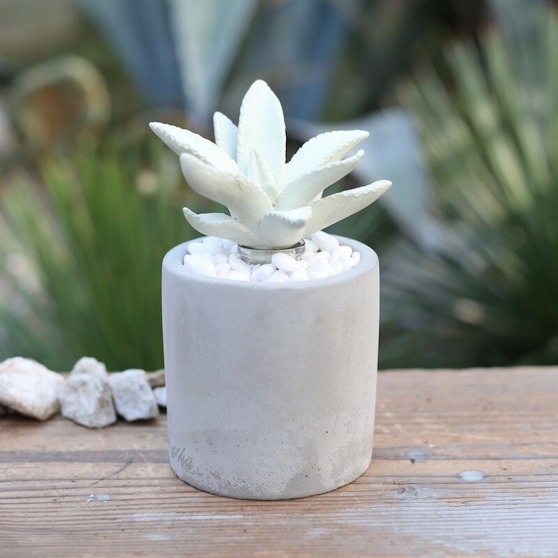 擴香∣多肉植物造型系列 清新草原∣日本 DULTON