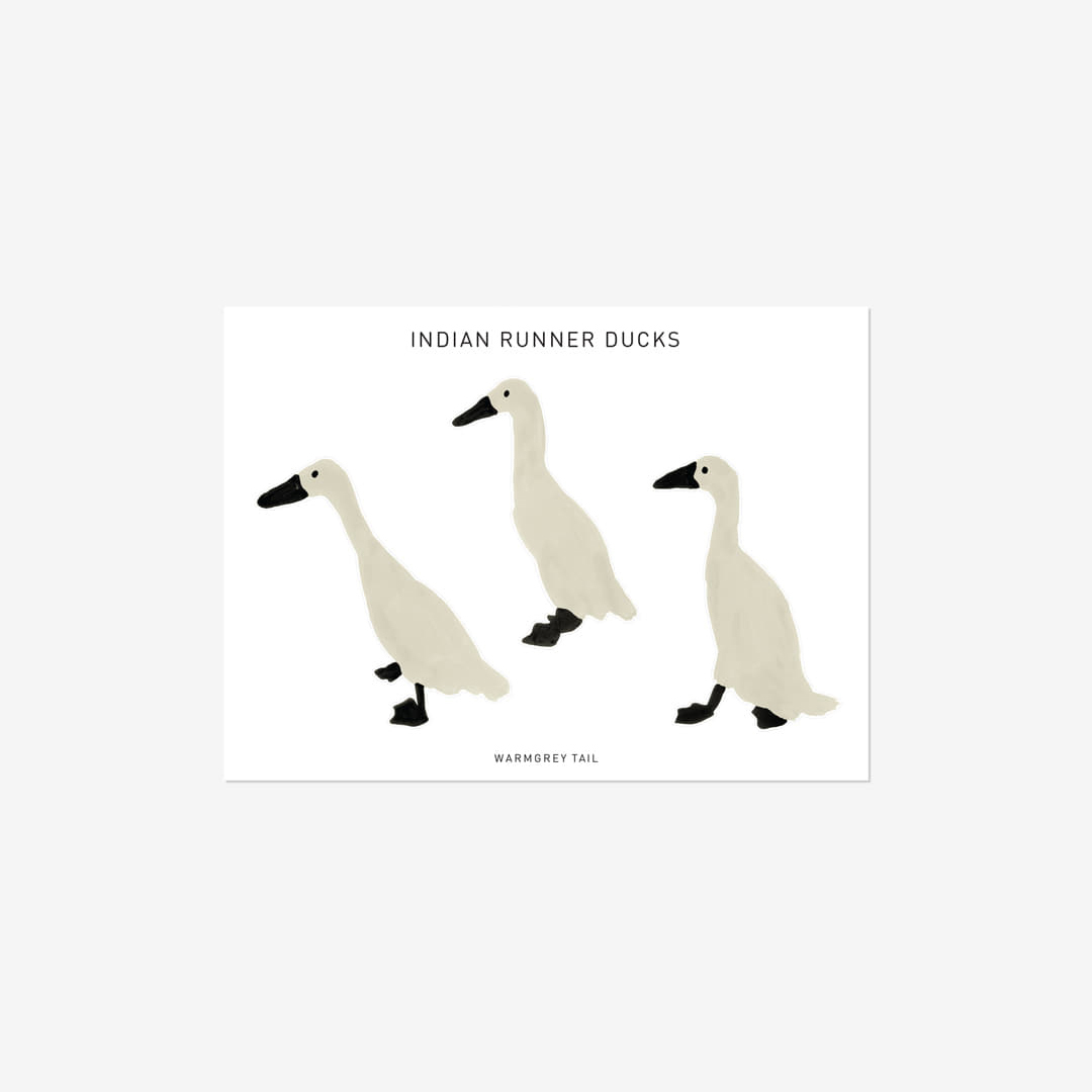 WARMGREY TAIL 插畫貼紙(多款可選)