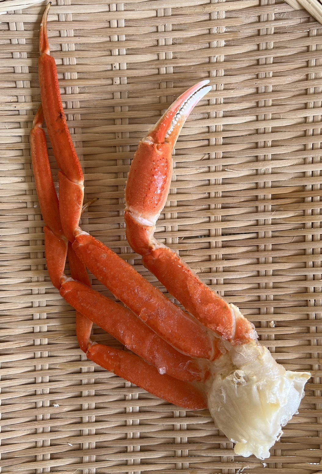 【富崎】熟凍松葉蟹腳 (150-250g/副)