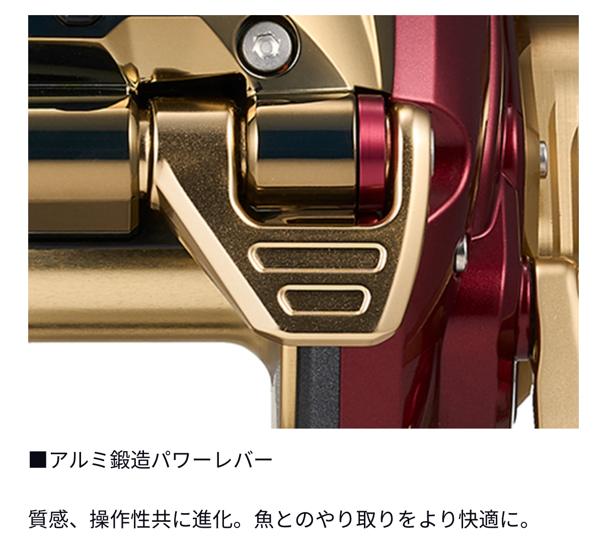 DAIWA 電動捲線器24年SEABORG G1200M 電捲船釣