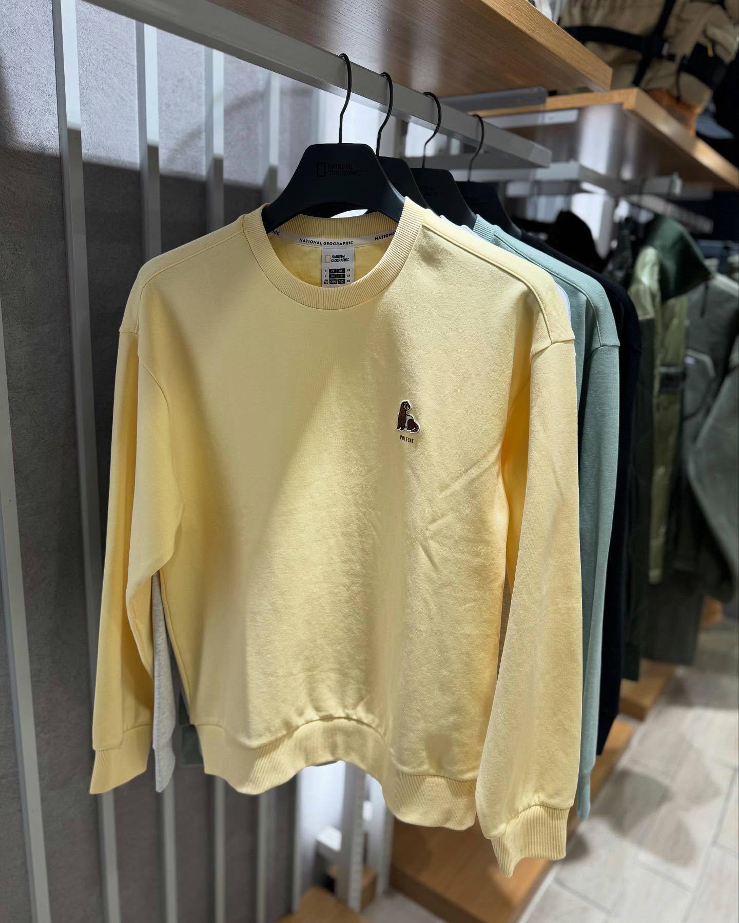 【代購】NATIONAL GEOGRAPHIC 國家地理 動物 長袖 衛衣 大學T N251USW040