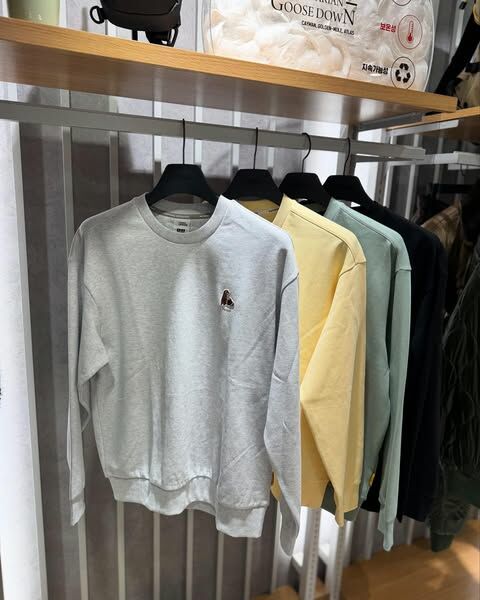 【代購】NATIONAL GEOGRAPHIC 國家地理 動物 長袖 衛衣 大學T N251USW040