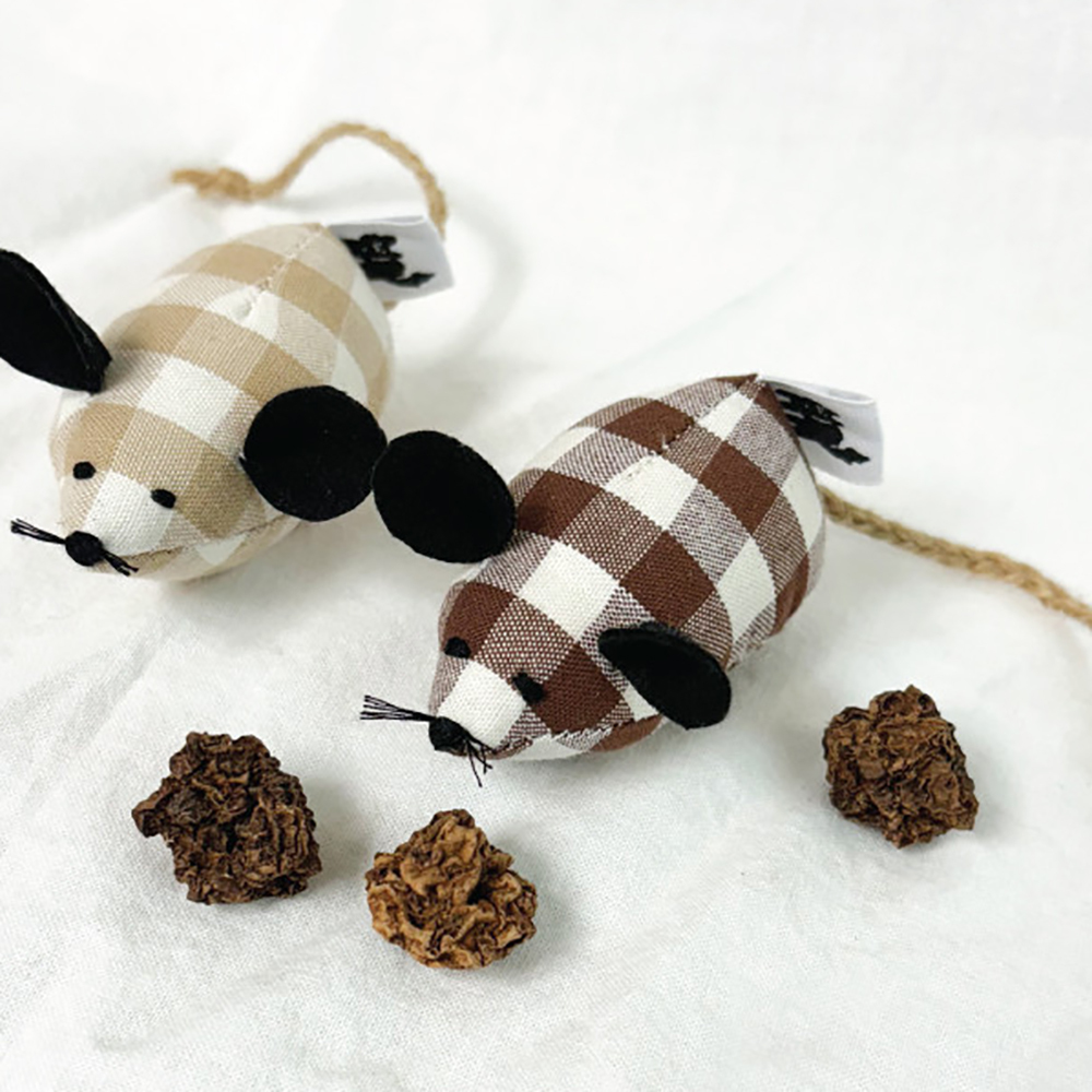 blank day | 小老鼠鼠  含有蟲癭果