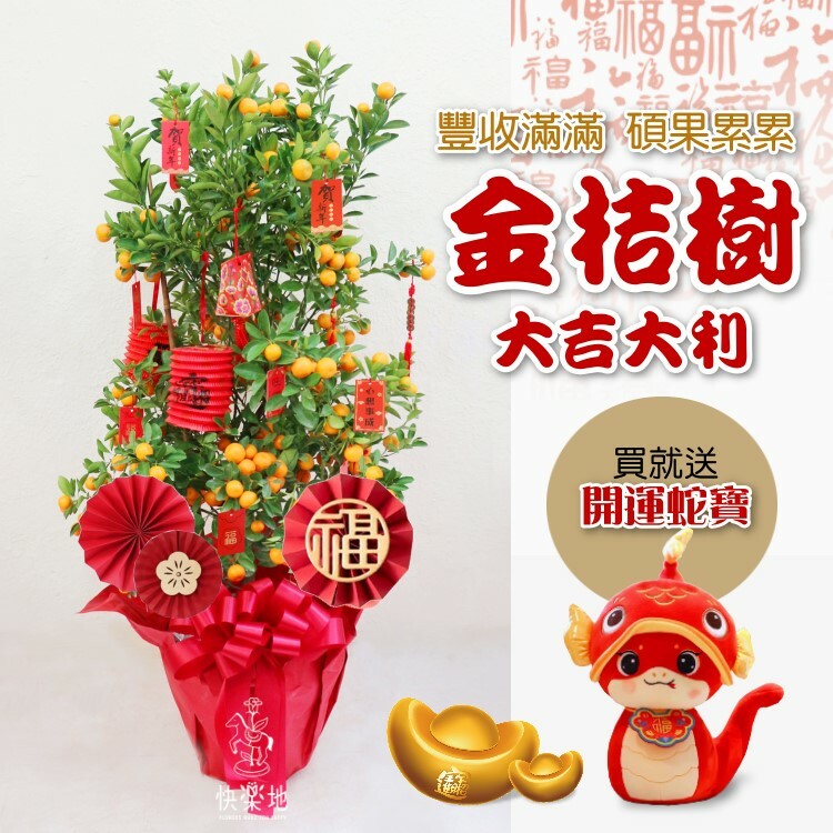 大吉大利❁金桔樹 買大就送-開運蛇寶寶  OP240999