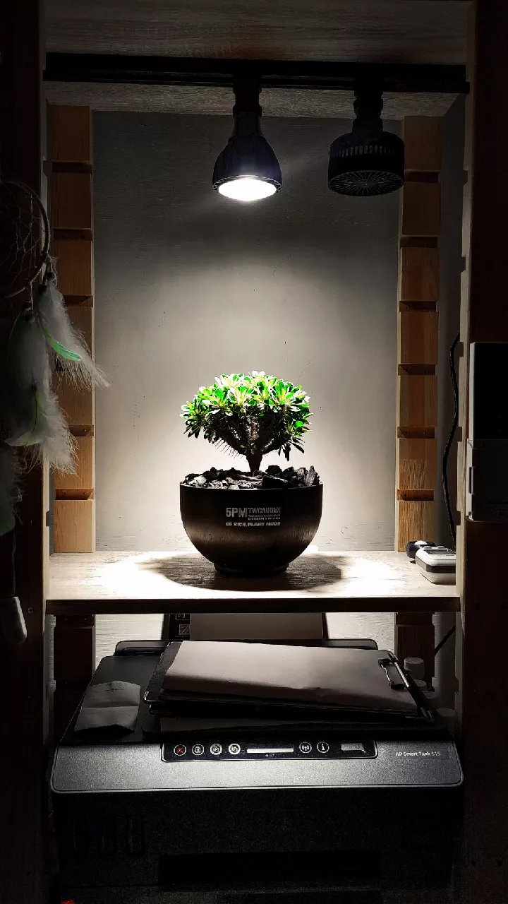 全光譜植物燈 24W Ra98