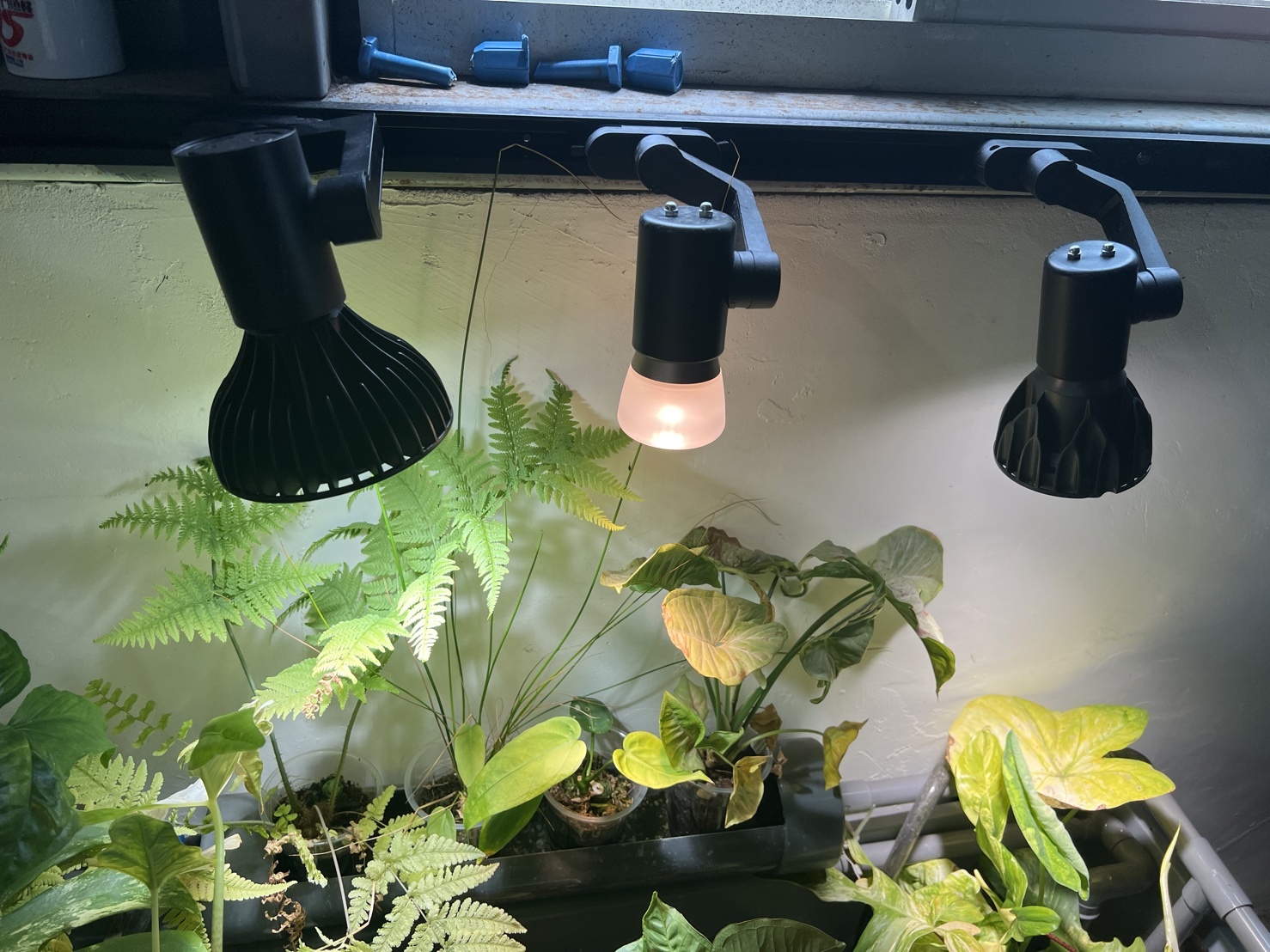 全光譜植物燈 28W Ra98