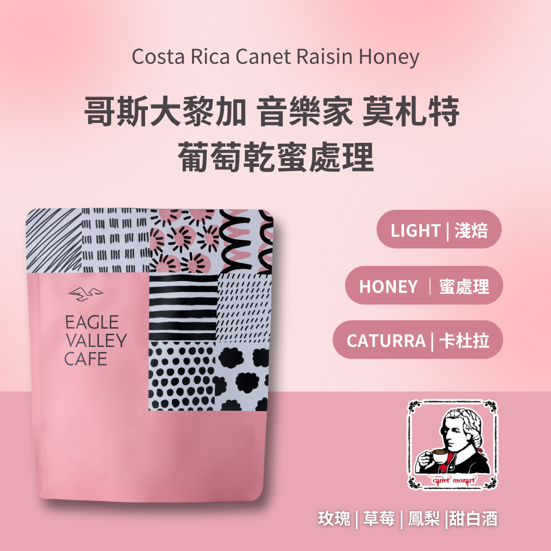 哥斯大黎加 卡內特 音樂家系列 莫札特 葡萄乾蜜處理 淺焙 咖啡豆