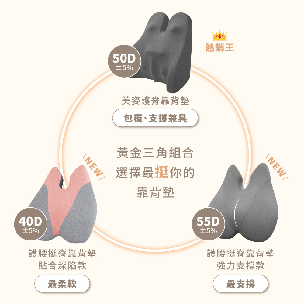 人體工學透氣護腰挺脊靠背墊 單入/兩入組 B78