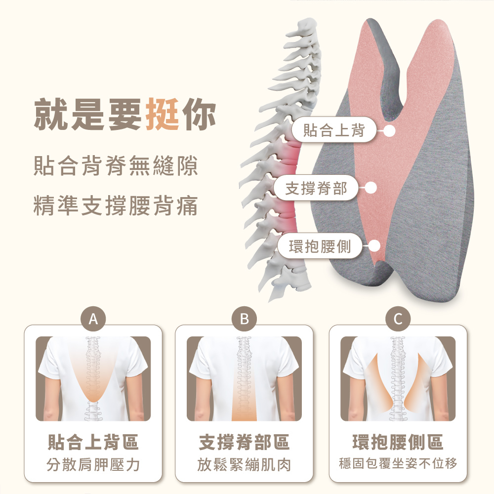 靠背墊貼合背部各區的功能