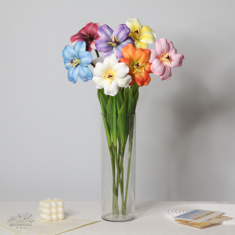 布朗尼鬱金香  7色