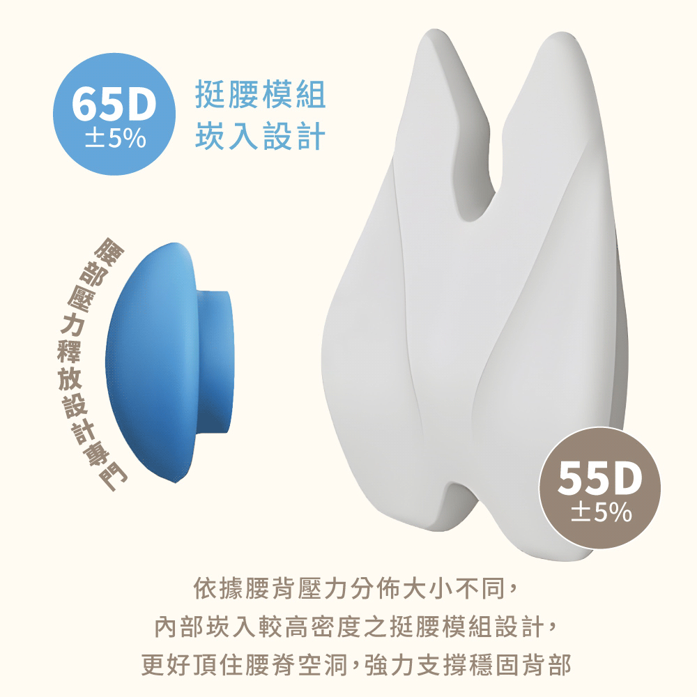 65D的挺腰模組崁入強力支撐款的中間