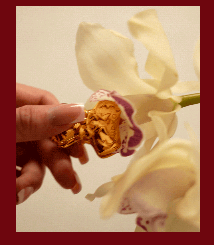 UPKO 蝴蝶結貝殼乳夾