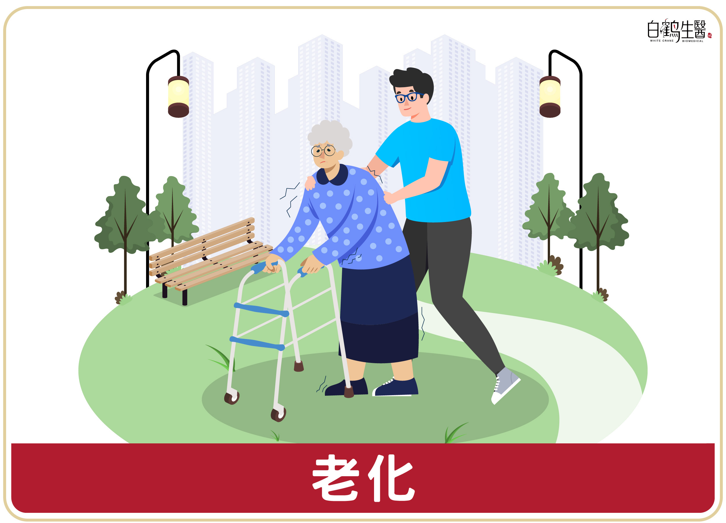 隨著年齡增長，關節內的軟骨會逐漸磨損，導致關節疼痛和僵硬。