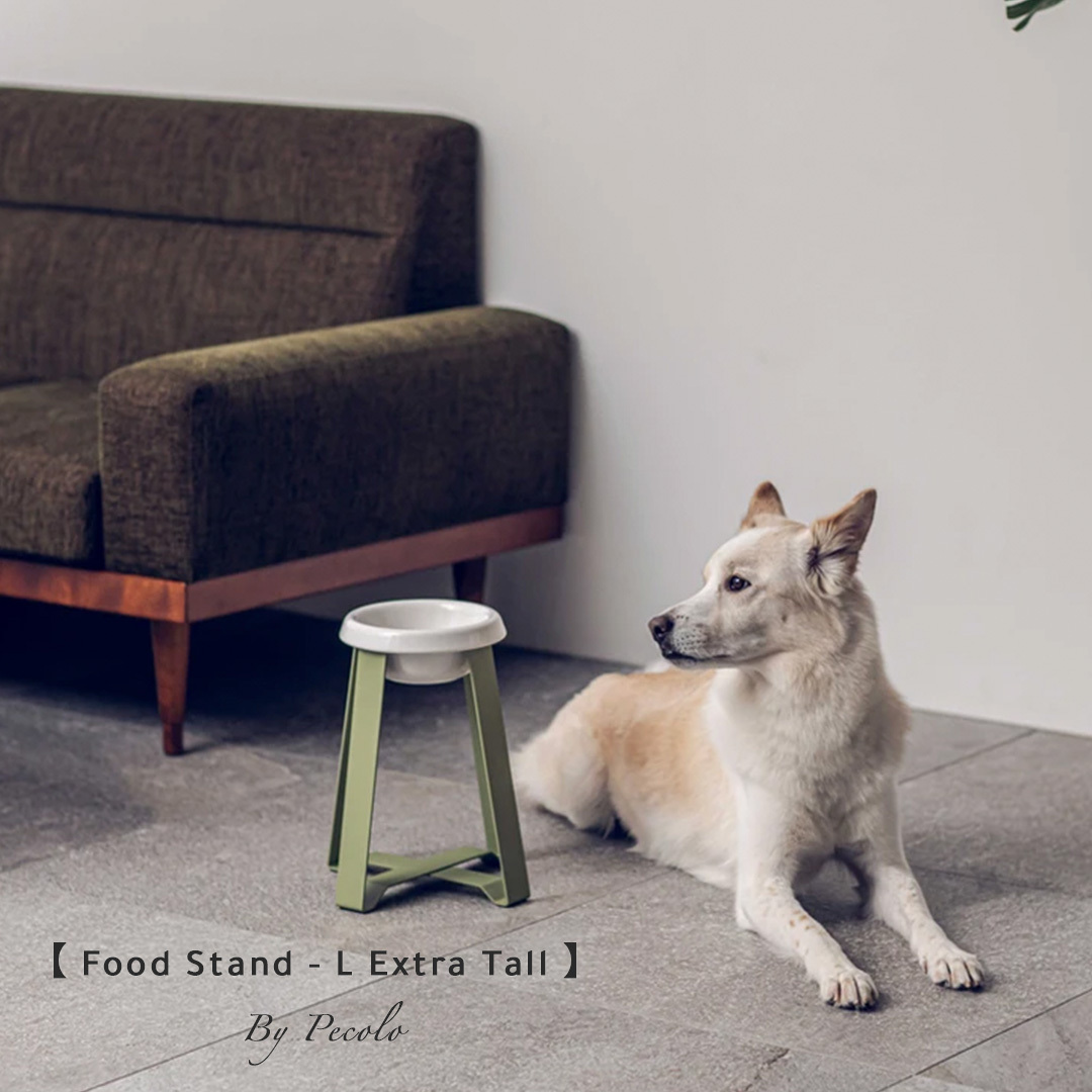 PECOLO - 高腳寵物碗 L Extra Tall