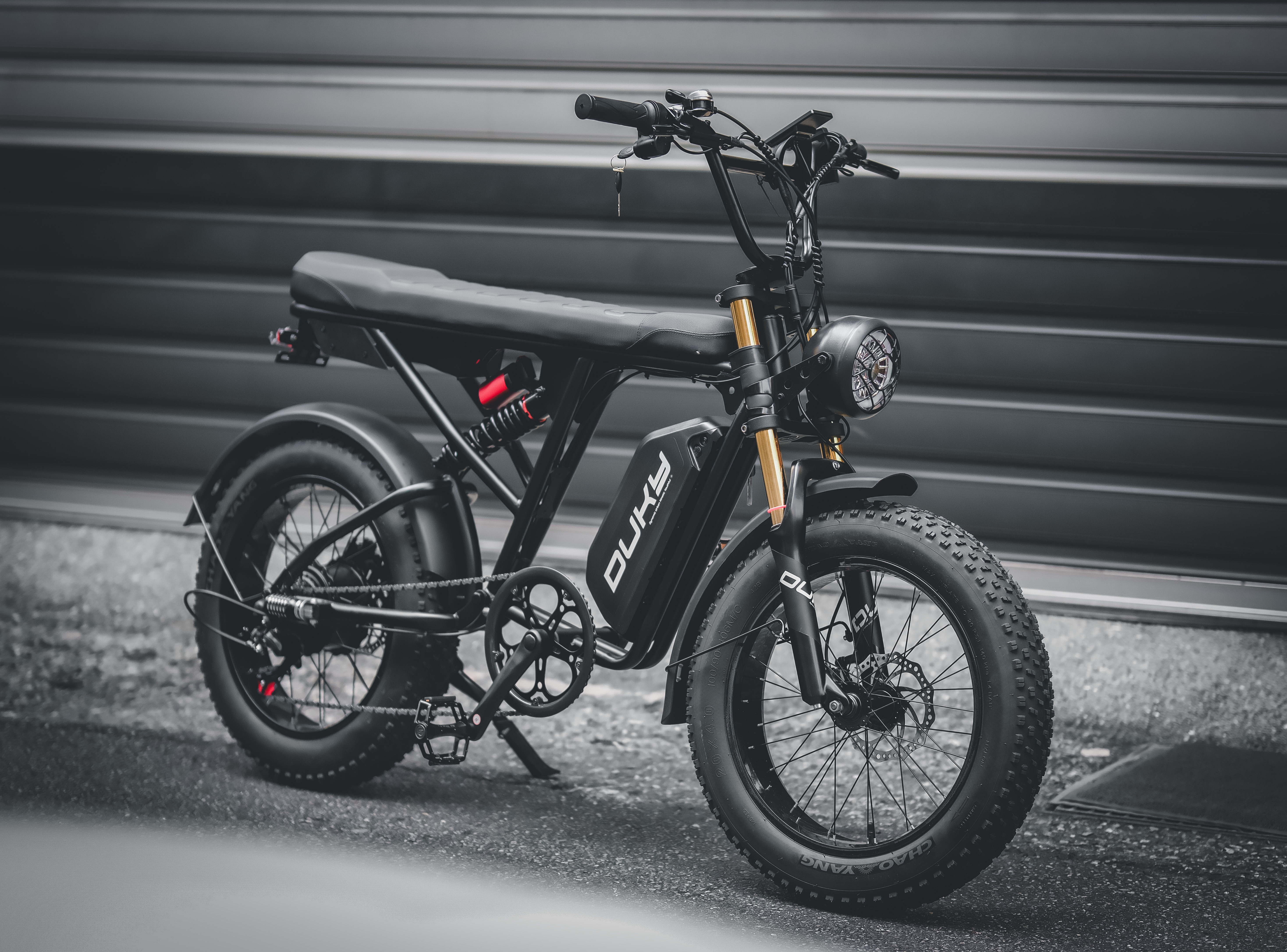 DUKY 電動輔助自行車 LTR｜ 免駕照｜解限速可達40KM/H｜續航里程80KM｜低跨高