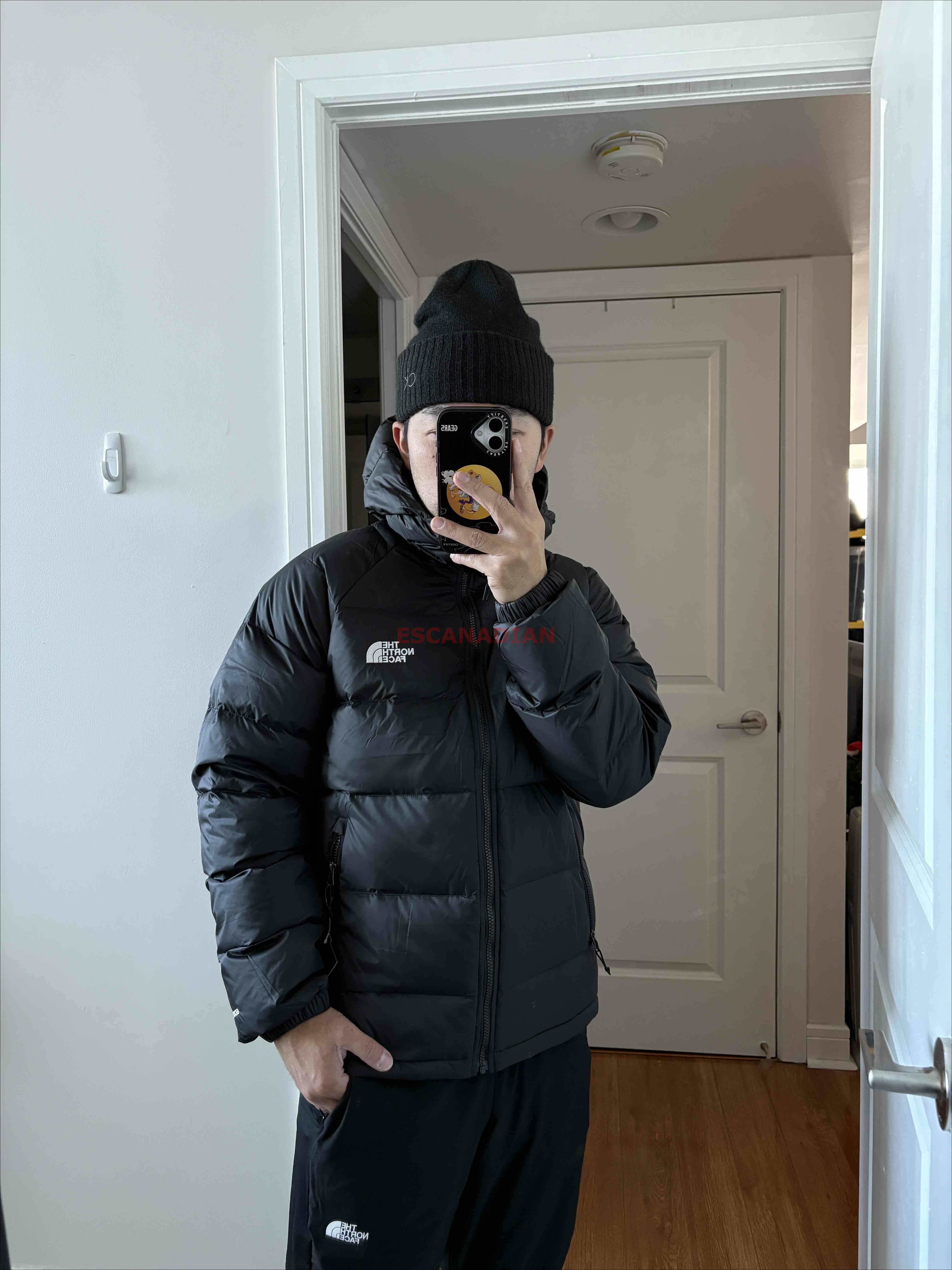 THE NORTH FACE 男大人 Hydrenalite 超輕便600蓬鬆羽絨 刺繡正反小標 外套