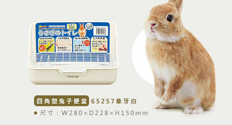 日本GEX -四角型兔子便盆 白色/底網