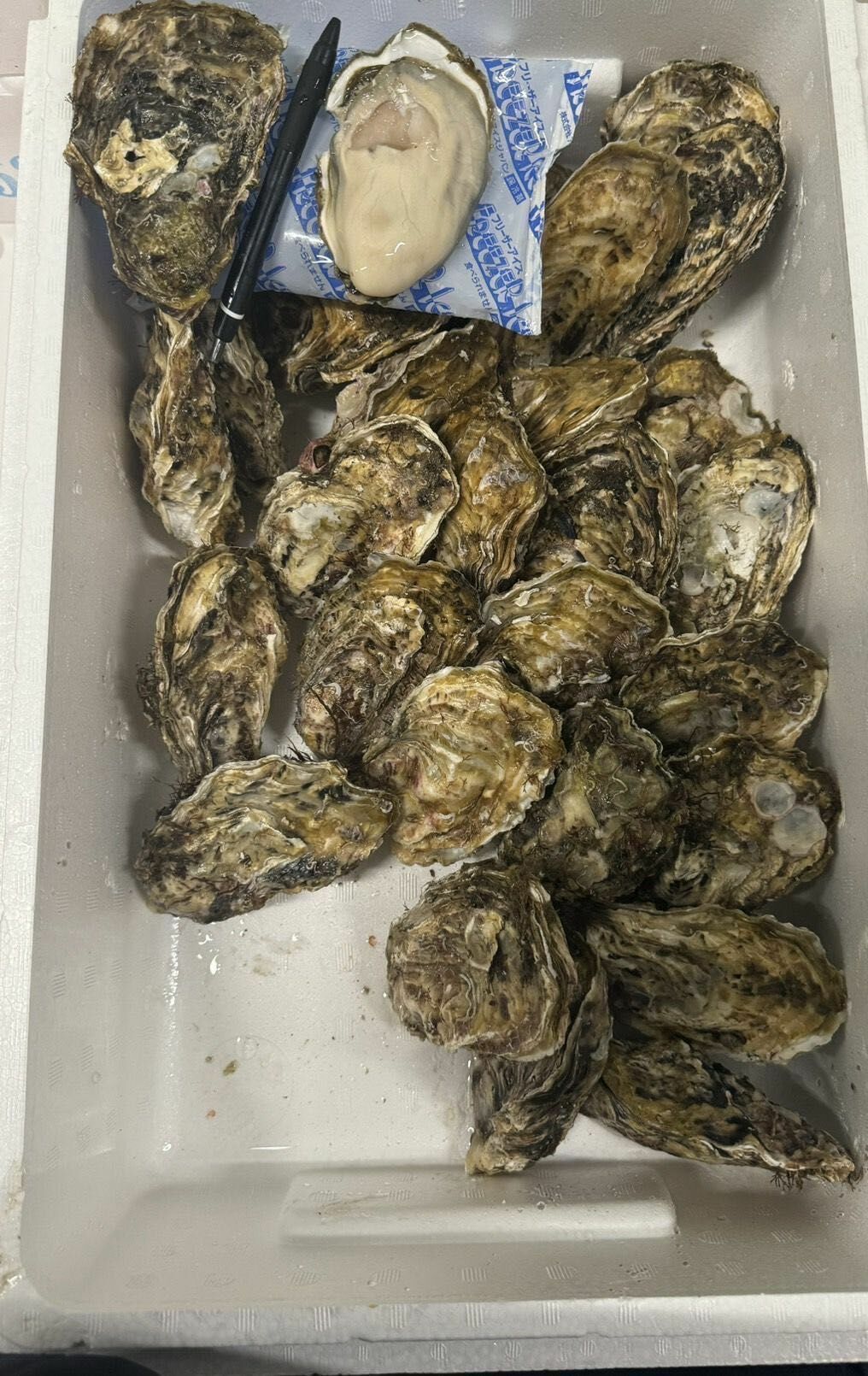 岩手 米崎 生蠔