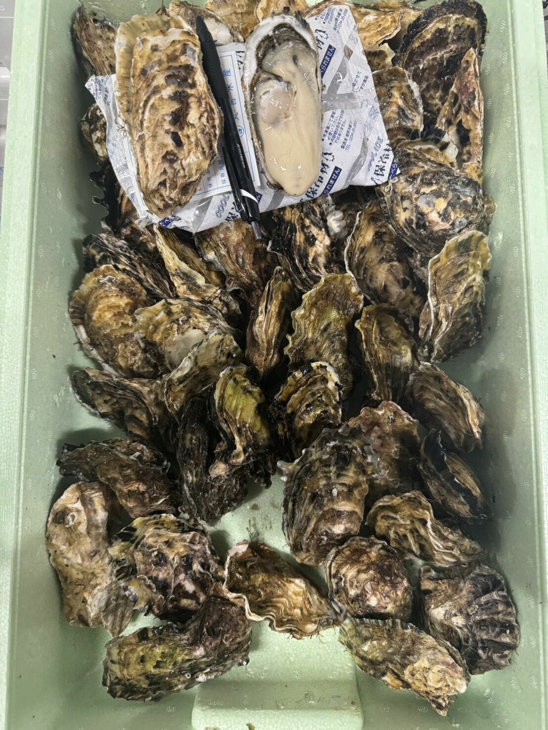 岩手 米崎 丸吉 牡蠣