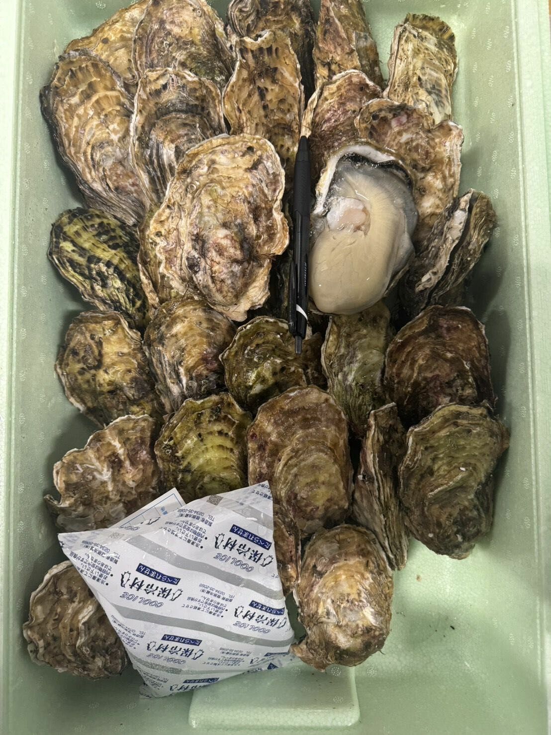 岩手 米崎 丸吉 牡蠣
