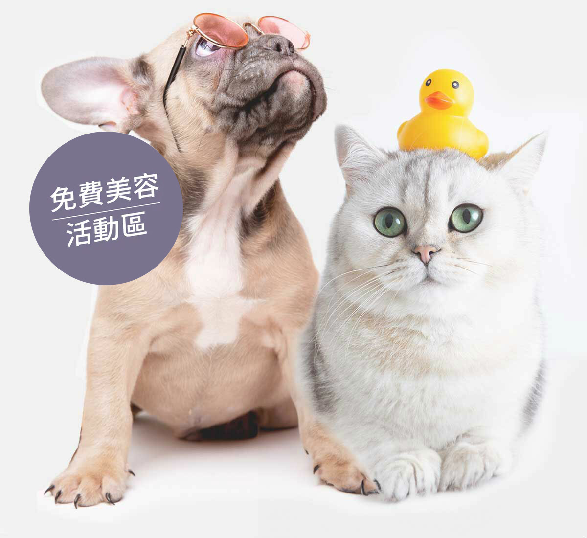 免費美容活動-寵物專區