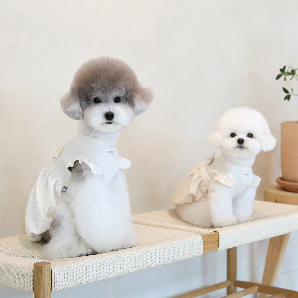 ITS DOG 有機棉氣球 T Shirt