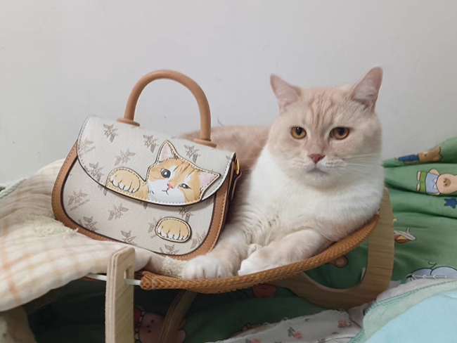💕貓咪寫實斜揹包包-預購